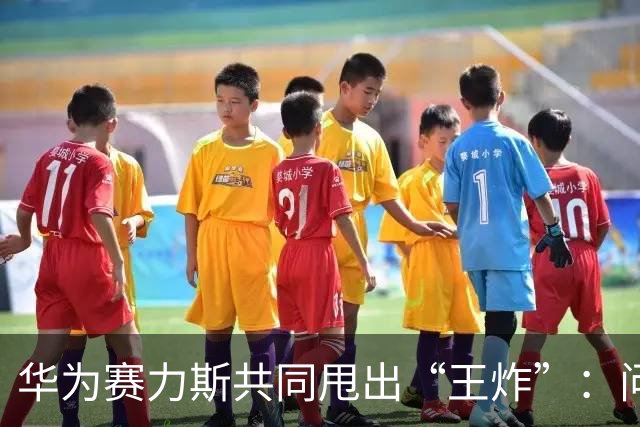 华为赛力斯共同甩出“王炸”：问界专属专营，赋予豪华新想象！