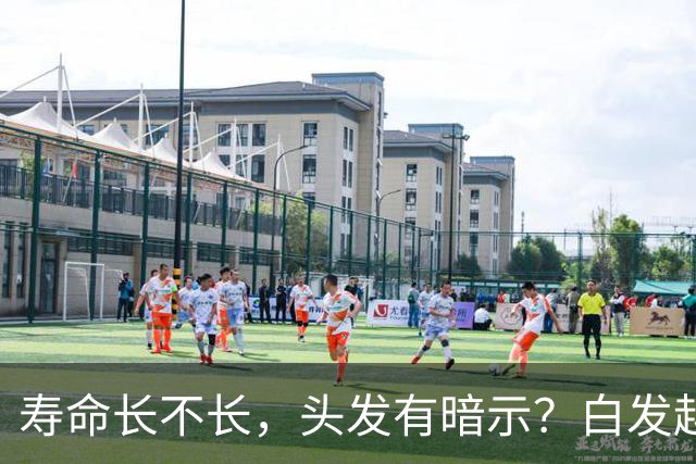 寿命长不长，头发有暗示？白发越少的人活得越久？真相来了